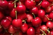 Premium cherry genetics: from DNA to quality and postharvest resilience