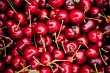 Chilean cherries: returns drop 40% after record-breaking yet disastrous season