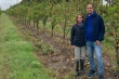 Jujuy leads the way: South America's first fresh cherries harvested in September
