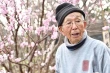 Giappone in fiore: la missione della famiglia Sano per salvare i sakura