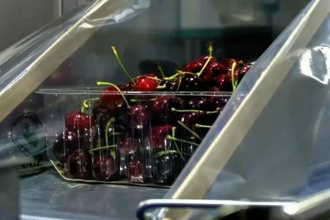 StePacPPC Showcases in Hong Kong Packaging That’s Revolutionizing Chilean Cherries