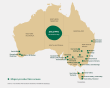 Esportazioni verso la Cina: dall'Australia i numeri delle ciliegie in crescita