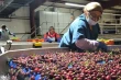 Washington Cherry Season 2025: A Story of Quality, Challenge and Collaboration